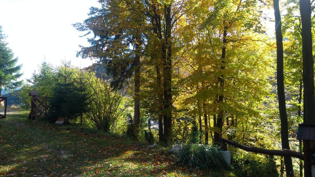 Fatrapark 1 U Sovicky Studio, Kuchynka, Kupelna,S Balkonom Gratis Parkovanie V Podzemnej Garazi Ружомберок Экстерьер фото